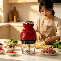 Mixeur Électrique Portable, Mini Robot Culinaire, Extracteur de Jus Multifonctionnel, Hachoir à Viande, Tasse à Jus, Lames en Acier Inoxydable 250W pour