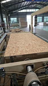 Panel de Madera <span class=keywords><strong>OSB</strong></span> de 18 mm de Diseño Moderno, Estándar E0, <span class=keywords><strong>con</strong></span> Chapa de Abedul, para Construcción en Exteriores, de Fábrica China - Product Image 4