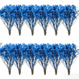 100 Piezas de <span class=keywords><strong>Paniculata</strong></span> <span class=keywords><strong>Preservada</strong></span> (Blanca) - Pequeñas Flores Secas Naturales de China para Joyería de Resina y Manualidades - Product Image 3