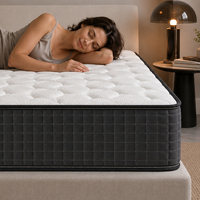 Matelas à ressorts ensachés en peluche de 30 cm, taille Queen et King, pour projets hôteliers, OEM personnalisé