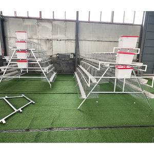 Wholesale 3 Tier 4 Tier Fully Automatic <strong>Watering</strong> System Cage Poultry Battery Eggs Laying Hens Chicken Farm in Kenya Tanzania - Product Image 3