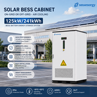 Armoire de stockage d'énergie solaire diesel LiFePO4 125 kW 241 kWh pour site de transformation alimentaire au Moyen-Orient, optimisation de la consommation de carburant avec contrôle EMS