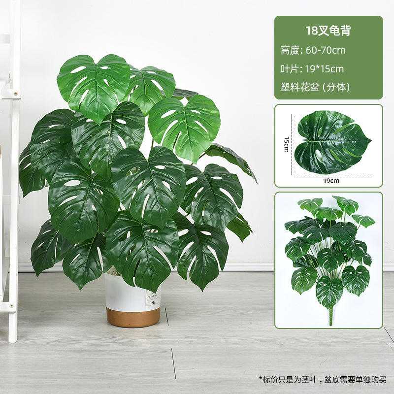 18 fourchettes feuille arrière tortue-60-70cm