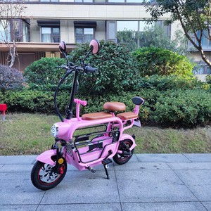 Scooter Elettrico con Doppio Motore Posteriore da 48V 500W 15Ah, Trasportino <span class=keywords><strong>per</strong></span> Gatti e Cani a 3 Posti, Batteria da 15Ah <span class=keywords><strong>per</strong></span> Cestino <span class=keywords><strong>Bici</strong></span> <span class=keywords><strong>Elettrica</strong></span> - Product Image 5