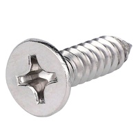304/316/410 Vis autotaraudeuses à tête plate fraisée en acier inoxydable tornillos