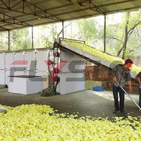 Équipement de séchage de courroie en maille multicouche de type chenille Machine de séchage de légumes Séchoir à courroie en maille pour oignons et anneaux d'oignons