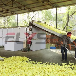 Multilayer Crawler loại lưới vành đai Thiết bị sấy khô rau khô máy hành tây và hành tây Vòng lưới vành đai máy sấy - Product Image 4