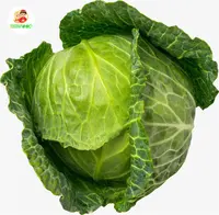 Factory jade cabbage popular sale natural Fresh Cabbages with for Cabbages