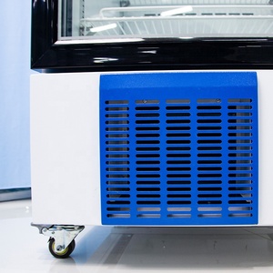 Frigorifero da <span class=keywords><strong>Laboratorio</strong></span> BIOBASE 288L con Porta in Vetro Singola, Raffreddamento ad Aria per Laboratori <span class=keywords><strong>e</strong></span> Ospedali - Product Image 6