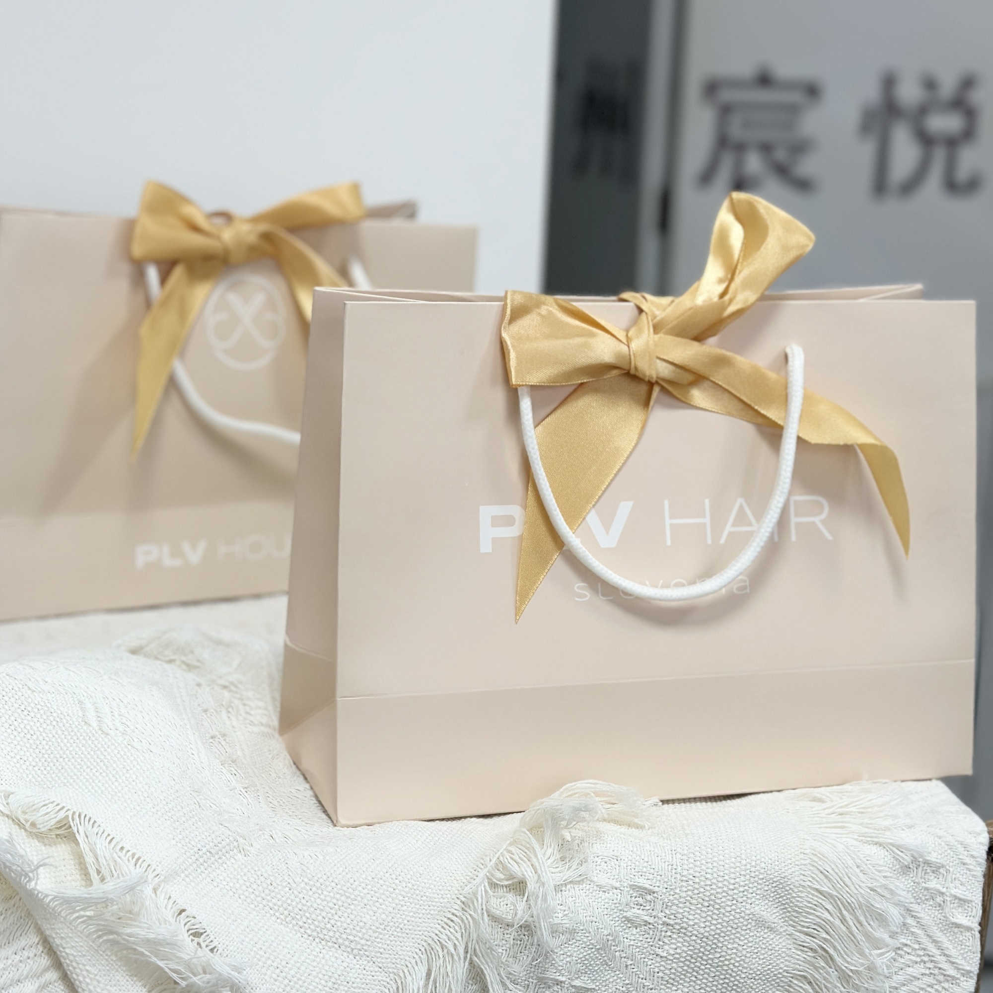 Shopping Gift Paper Bags with Tissue Paper Custom Durable Reusable Shipping Paper Bag with Handle