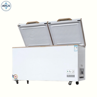 Congélateur Coffre Horizontal de Haute Durabilité 400L 600L 1000L pour Aliments Surgelés en Supermarché