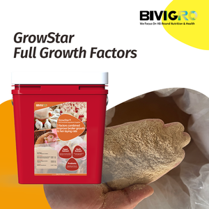 Growstar Mengandung Ekstrak Herbal Mikroekskapsulasi, Ekstrak Ragi, Probiotik untuk Meningkatkan Pertumbuhan Unggas Broiler dan Produksi Telur Petelur - Product Image 6