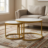 Table basse ronde avec structure en acier inoxydable et plateau en MDF, design moderne pour salon et chambre, meubles de maison