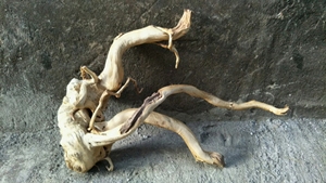 <span class=keywords><strong>En</strong></span> gros aquarium ornements arbre <span class=keywords><strong>bois</strong></span> <span class=keywords><strong>flotté</strong></span> décoration utilisé pour l'aquarium d'embellissement - Product Image 3