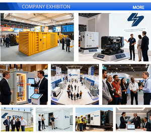 Générateur diesel triphasé Excalibur de haute qualité 240 kW 300 kVA 50/60 Hz de type ouvert pour la maison - Product Image 5