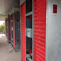 Cage à poules pondeuses entièrement automatique à structure en cascade avec nettoyage du fumier et collecte des œufs ; Petites cages à poules pondeuses en cascade de type H (3/4 niveaux)
