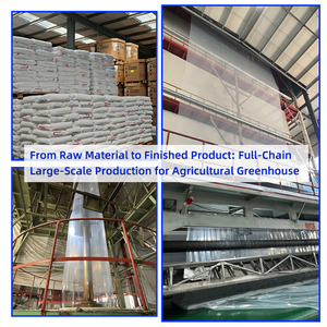 Tái chế <span class=keywords><strong>LDPE</strong></span> phim phế liệu cho các sản phẩm nông nghiệp nhà kính Bìa thổi đúc tùy chỉnh dịch vụ cắt - Product Image 3