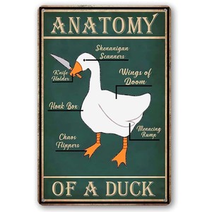 Plaque en métal en forme de canard, décoration vintage personnalisée pour la <span class=keywords><strong>chasse</strong></span>, décoration murale pour la maison, la cuisine, la salle de bain, affiche décorative de canard, 8 x 12 pouces - Product Image 2