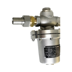 Válvula de reducción de gas criogénico de acero inoxidable Airmass DYS20A DN20 para almacenamiento a granel a baja temperatura - Product Image 2