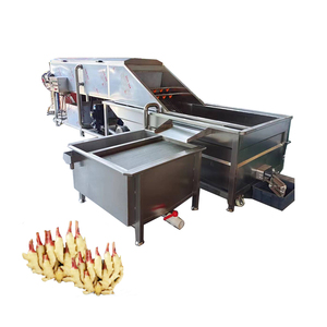 Machine <span class=keywords><strong>de</strong></span> nettoyage <span class=keywords><strong>de</strong></span> légumes racines à haute efficacité pour fruits et légumes, laveuse commerciale <span class=keywords><strong>de</strong></span> racines <span class=keywords><strong>de</strong></span> gingembre et <span class=keywords><strong>de</strong></span> lotus - Product Image 1