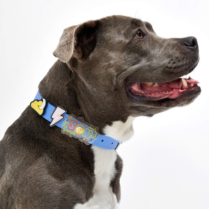 Collar DIY encantos nuevo diseño colorido logotipo personalizado al por mayor diseñador de lujo PVC impermeable mascota gato perro Collar - Product Image 1