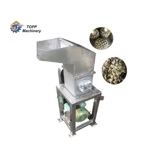 Hot sale fruit and vegetable cutter electric fruit crusher fresh fruit juicer machine