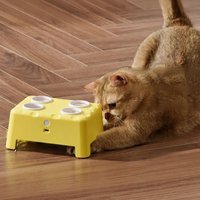 Jouet interactif 3-en-1 pour chat : Maison à fromage, jeu de tape-taupe, souris et plumes pour chats d'intérieur