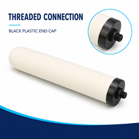 Filtre à eau en céramique en gros avec connecteur mâle noir pour pièces de rechange de purificateur domestique