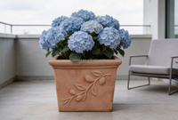 Pots carrés en terre cuite en gros, pots décoratifs en argile pour jardin, adaptés à la décoration de plantes vertes