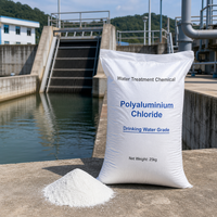 Poudre blanche PAC de haute pureté à 30 % pour les installations de traitement de l'eau potable
