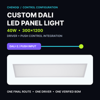 Panneau lumineux LED DALI personnalisé 300x1200 40W avec intégration de commande par bouton-poussoir pour projets
