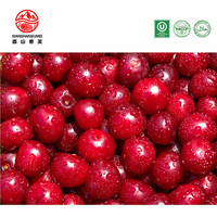 Cranberries entières surgelées IQF pour smoothies, cocktails, sauces, confitures, fruits de la mer des canaris, boîte de 10 kg, approvisionnement en gros
