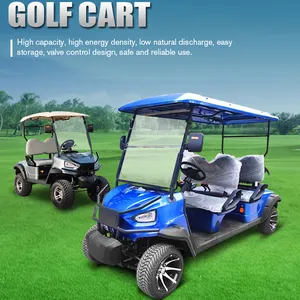 Yüksek kaliteli uzun menzilli düşük hız 4 tekerlekli kulüp sürücü lityum pil 2 koltuk Buggy elektrikli Golf arabası