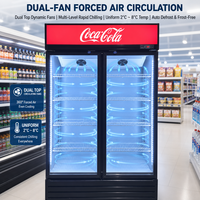 Réfrigérateur vertical sur mesure OEM, vitrine de congélation verticale, refroidisseur commercial avec 2 portes vitrées