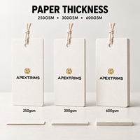 Étiquettes suspendues APEX personnalisées avec logo imprimé, conception de marque, fabricant d'étiquettes personnalisées OEM ODM pour vêtements