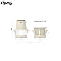 Vente flash : Mini four à air chaud électronique 2L avec fenêtre en verre, personnalisable, électrique, pour frites, en plastique, pour usage domestique