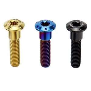 Bán nóng vít titan M6 M8 M10 M12 bu lông Titan TA1 TA2 TC4 đai ốc Titan GR1 gr2 GR5 - Product Image 1