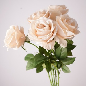 Großhandel Künstliche Blumen Echt Aussehende Feuchtigkeitsspendende Mondel-Rose Einzelblumen-Arrangement Fotografie-Dekoration Blumenschmuck - Product Image 5