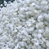 Nouvelle tendance Mur de fleurs artificielles Rose blanche Souffle de bébé Fond de mariage Blanc 8 pieds X 8 pieds Mur de fleurs Toile de fond Enroulable