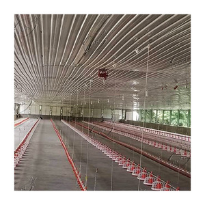 Equipo de Alta Gama para Granjas Avícolas, el Mejor para la Cría de Aves de Corral - Product Image 4