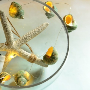 Cadena de luces LED de <span class=keywords><strong>concha</strong></span> de estrella de mar Natural con batería, luces blancas cálidas para fiestas, dormitorio, decoraciones de boda - Product Image 6