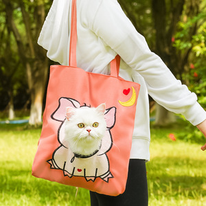กระเป๋าใส่สัตว์เลี้ยงลายการ์ตูนแมว กระเป๋าสะพายไหล่แบบพกพาน้ำหนักเบาสำหรับสุนัขแมว - Product Image 4