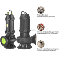 Pompe submersible pour eaux usées série WQ en acier inoxydable, anti-colmatage, à économie d'énergie, 3 CV, moteur monophasé/triphasé, 2-3 pouces, haute pression