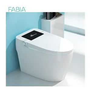 High End Durable Smart Intelligent Automatic One Piece Ceramic Wc Dry Flush Bathroom Electric Toilet