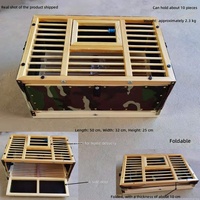 Cage à pigeons pliable CT, cage d'entraînement pour pigeons de course, cadre en bois, panier de transport camouflage pour pigeons