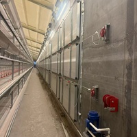 Cage à poulets HENGQI de type H entièrement automatique à 4 niveaux en acier galvanisé avec garantie de 2 ans