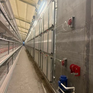 Jaula para Cría de Pollos HENGQI Nueva, Tipo H, Totalmente Automática, de 4 Niveles, de Acero Galvanizado - Product Image 3