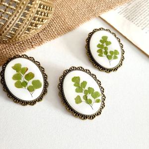 ヴィンテージクリアシンプルでエレガントなブロンズブラスカラークリアレジンドライプレス葉ドライフラワーブローチ - Product Image 6