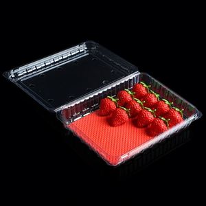 Bandeja de Plástico Desechable de Alta Calidad para Carne, 76x76mm, con Almohadilla Absorbente para Fresas - Product Image 4