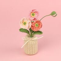 2026 Hiasan Rumah Rajutan Bunga Frangipani dari Katun Buatan Tangan, Ornamen Dekorasi Rumah, Bunga Abadi, Hadiah Hari Ayah yang Kreatif